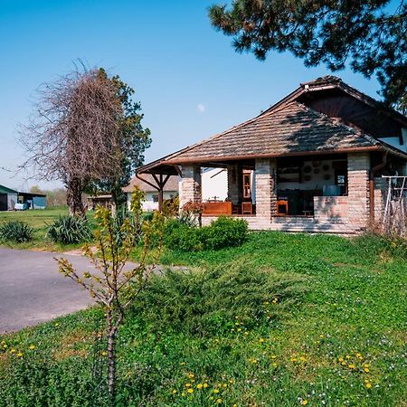 Sun City Vizisport Paradicsom Hódmezővásárhely Dış mekan fotoğraf
