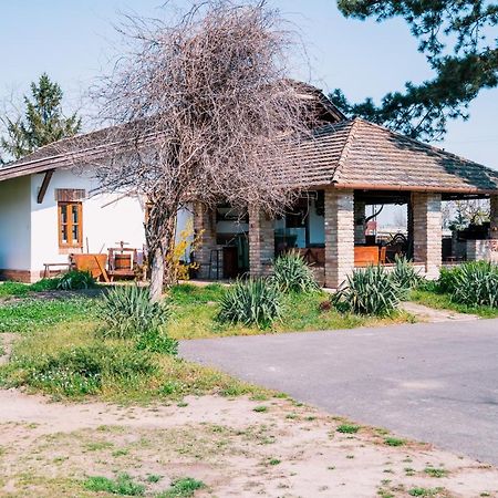 Sun City Vizisport Paradicsom Hódmezővásárhely Dış mekan fotoğraf